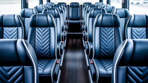 johns creek 30 passenger minibus rental